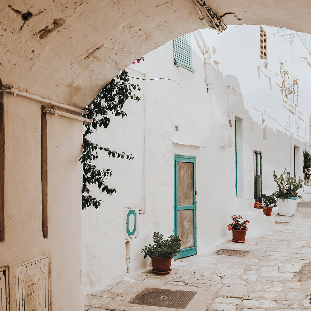 Whites & Neutrals | Aesthetic