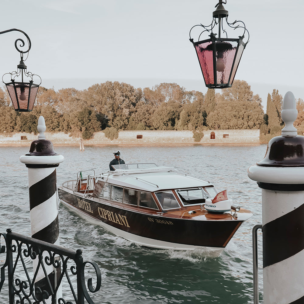 Muted Tones | Aesthetic