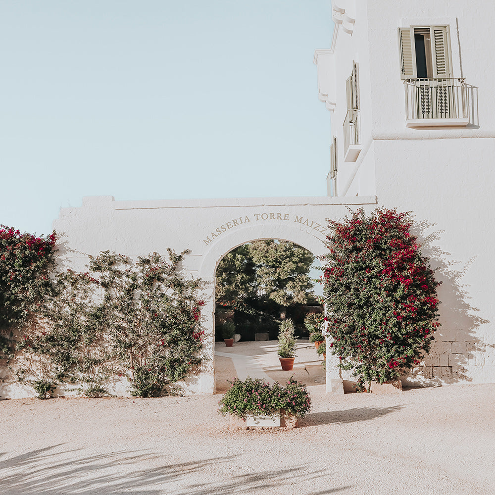 Mediterranean Living | Theme