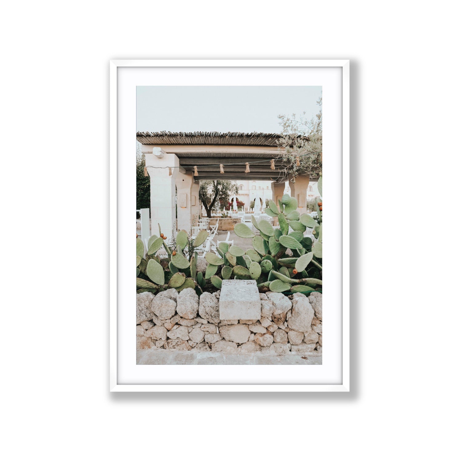 Puglia Flora Puglia Borgo Egnazia Mediterranean wall art Extra Large fine art print in white frame with matboard
