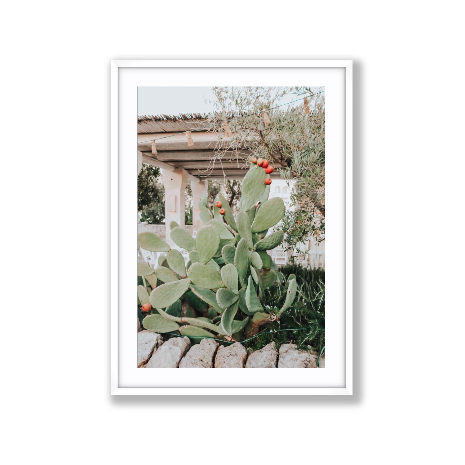 Opuntia Beauty Puglia wall art Extra Large fine art print in white frame with matboard