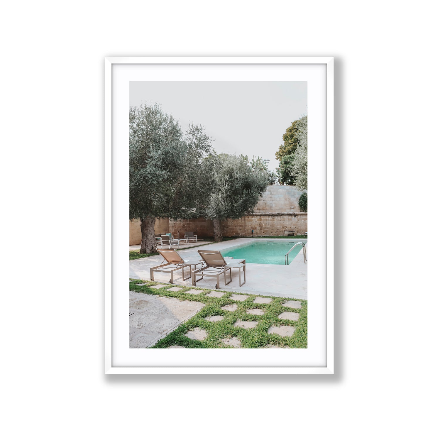 Olive Oasis