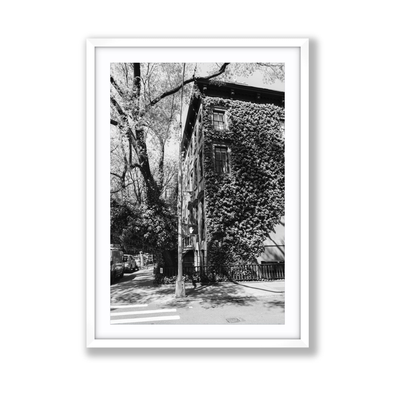 Vertical Garden New York NYC Black & White wall art Giant fine art print in white frame with matboard