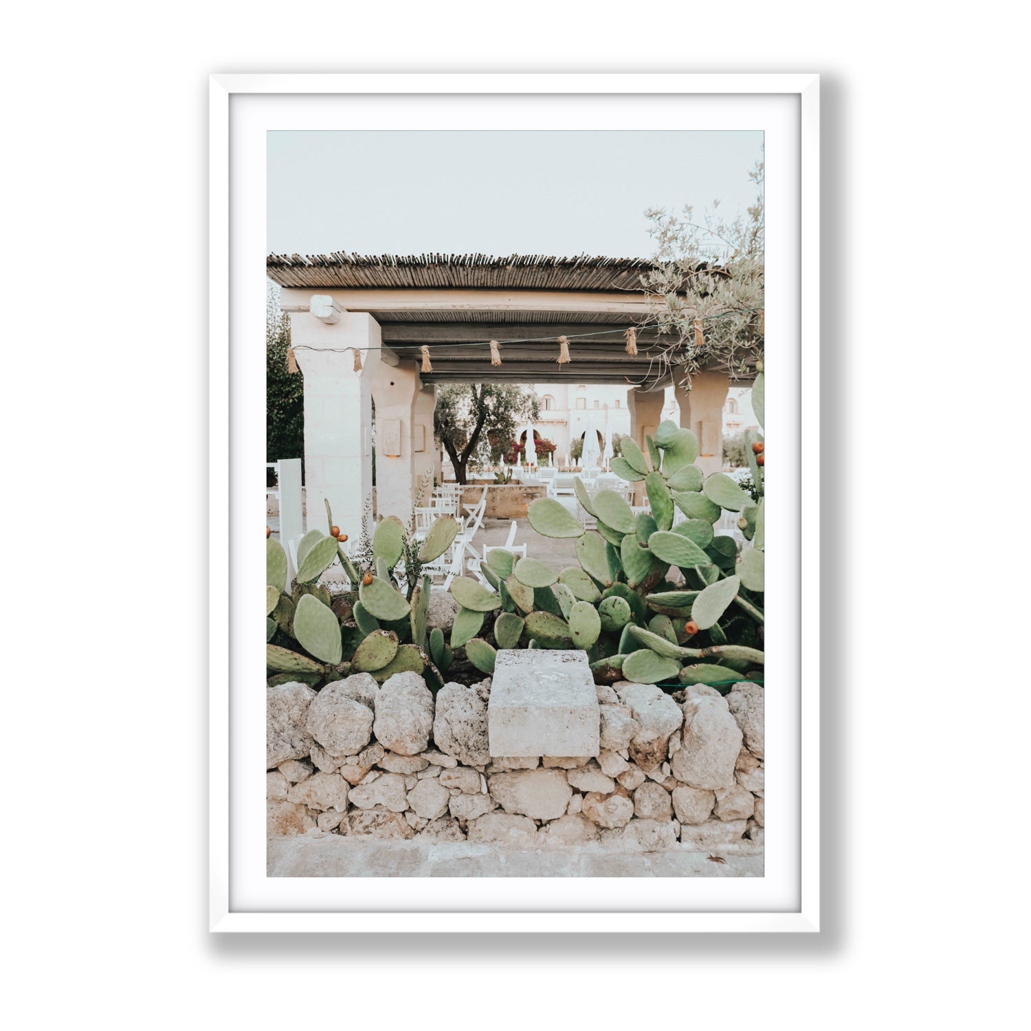 Puglia Flora Puglia Borgo Egnazia Mediterranean wall art Gallery fine art print in white frame with matboard
