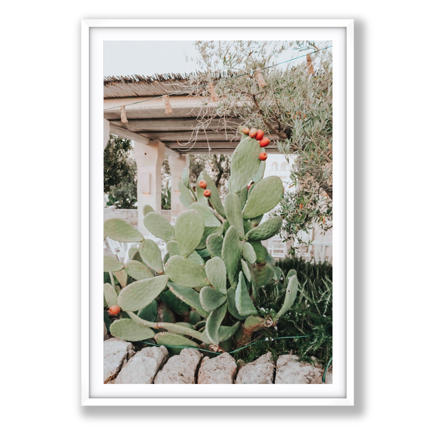 Opuntia Beauty Puglia wall art Statement fine art print in white frame with matboard