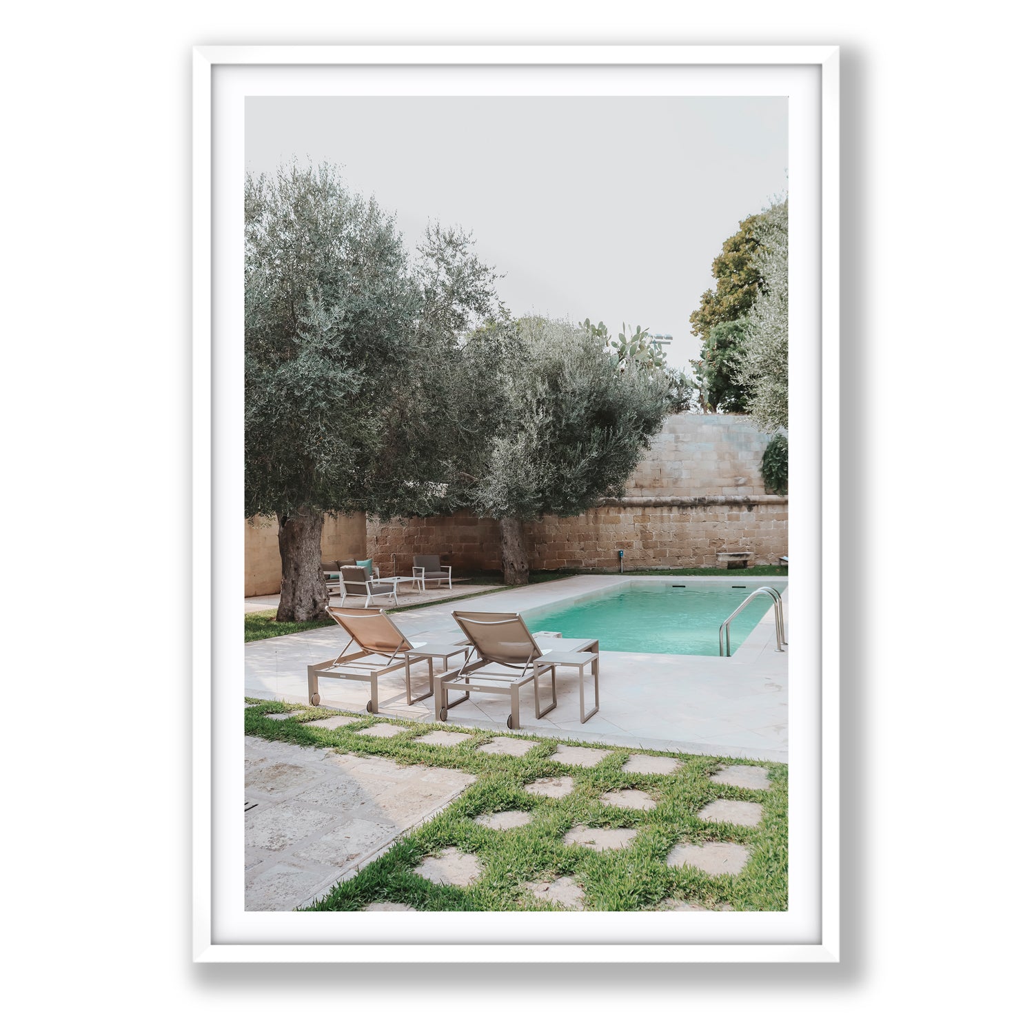 Olive Oasis