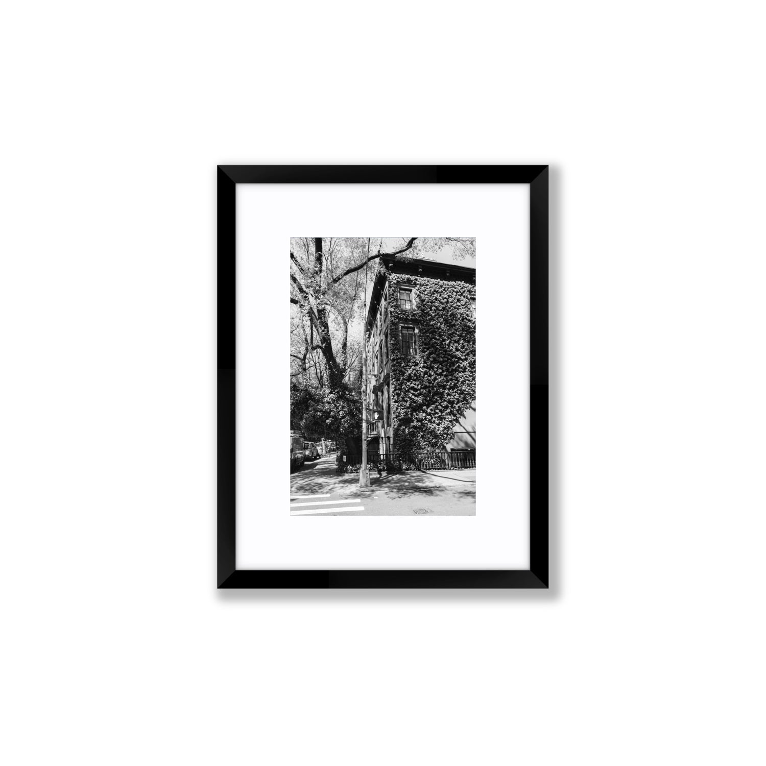 Vertical Garden New York NYC Black & White wall art Small fine art print in black frame with matboard