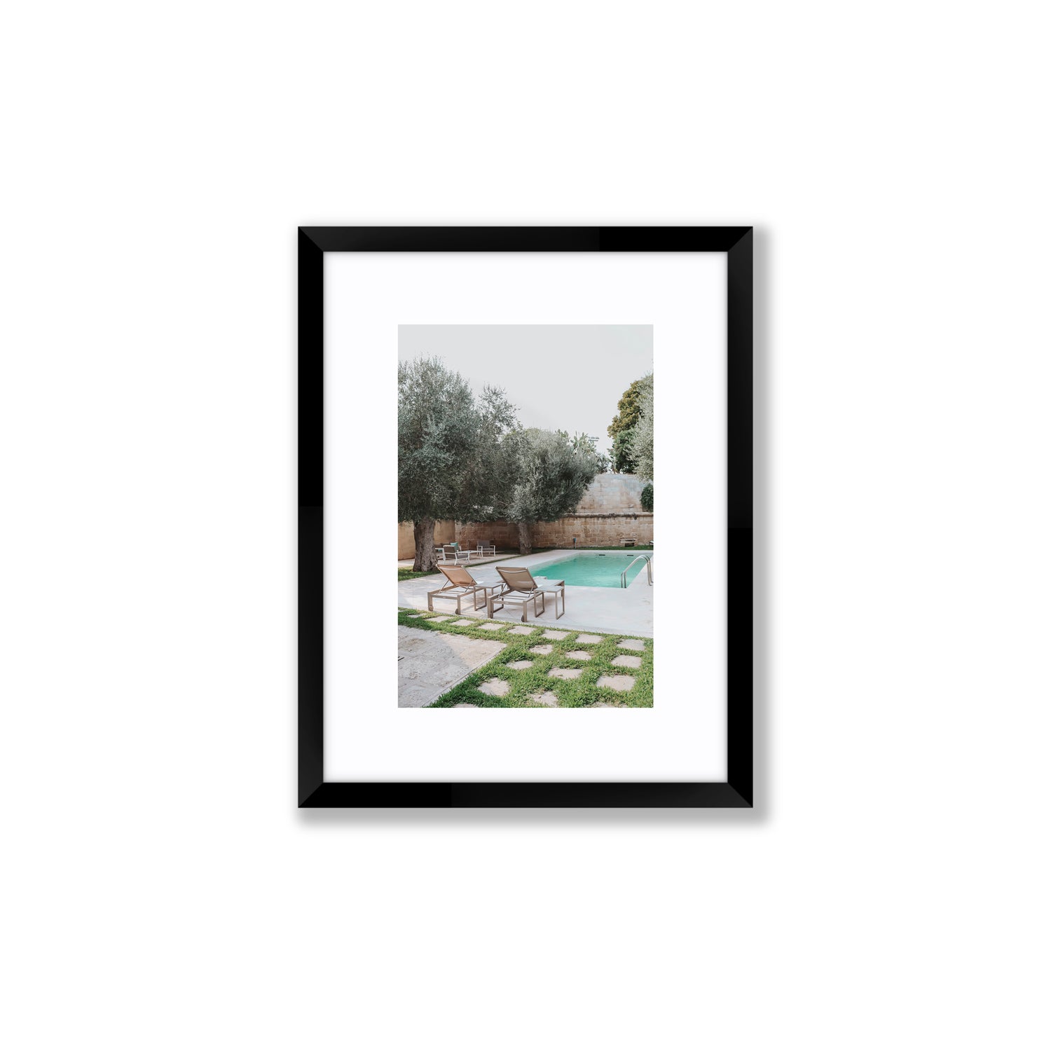 Olive Oasis