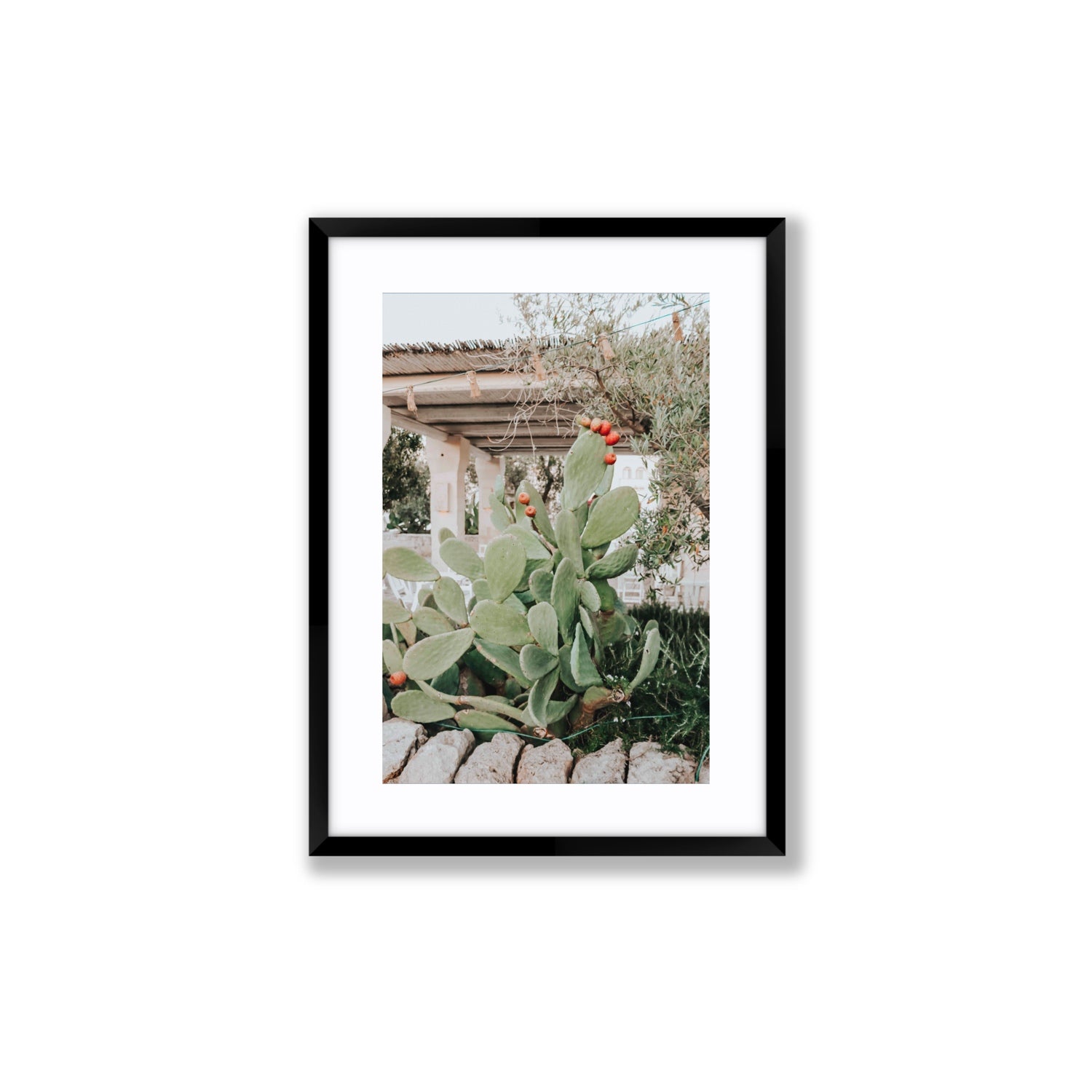 Opuntia Beauty Puglia wall art Medium fine art print in black frame with matboard