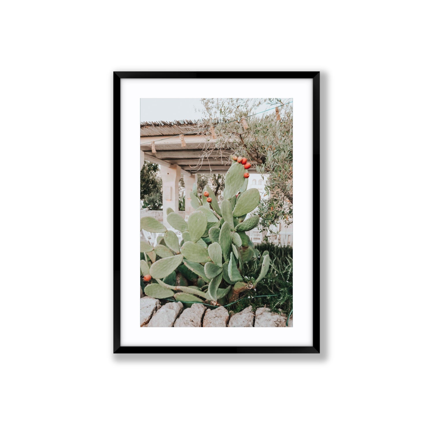 Opuntia Beauty Puglia wall art Large fine art print in black frame with matboard