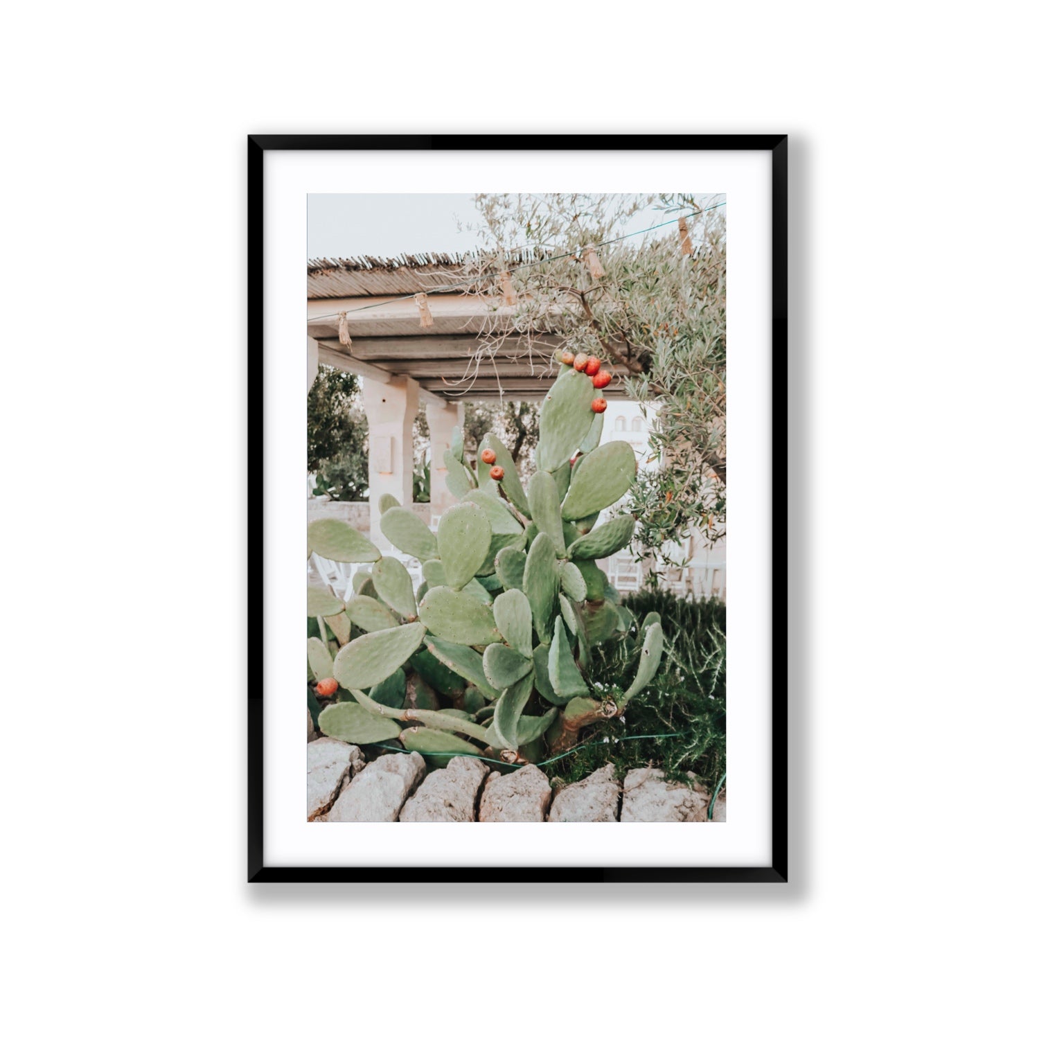 Opuntia Beauty Puglia wall art Extra Large fine art print in black frame with matboard
