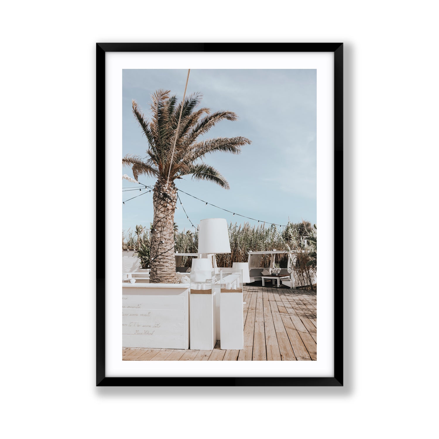 Seabreeze Palm