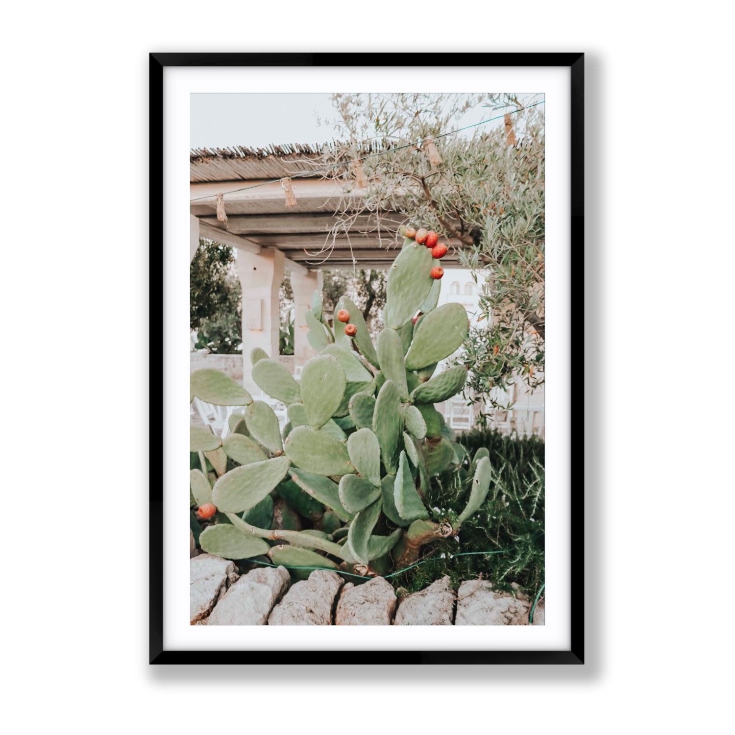 Opuntia Beauty Puglia wall art Gallery fine art print in black frame with matboard