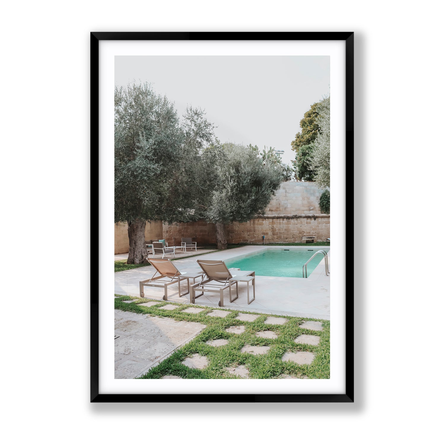 Olive Oasis