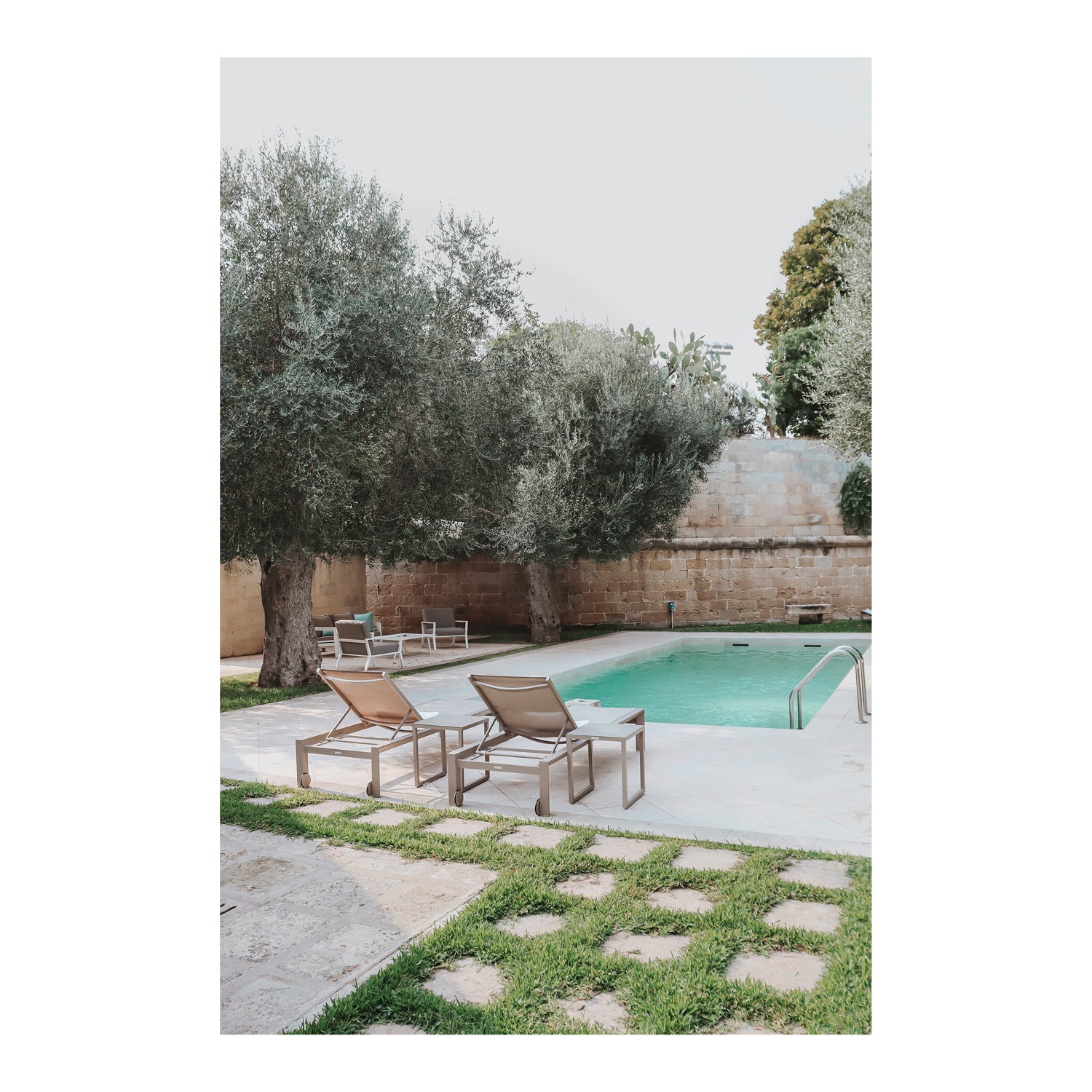 Olive Oasis