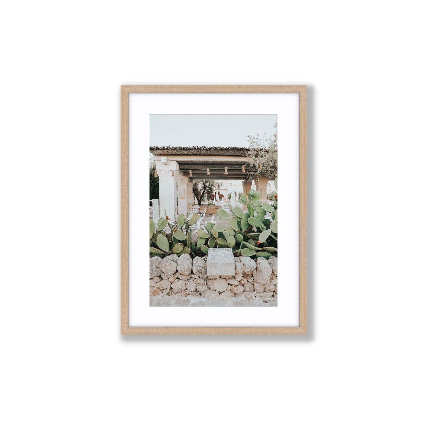 Puglia Flora Puglia Borgo Egnazia Mediterranean wall art Medium fine art print in natural oak frame with matboard