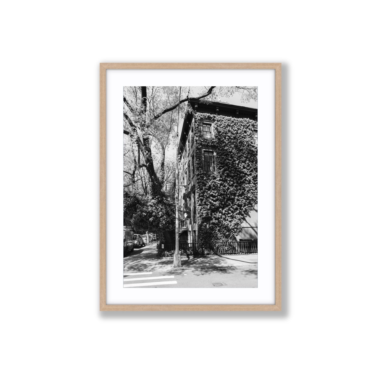 Vertical Garden New York NYC Black & White wall art Large fine art print in natural oak frame with matboard