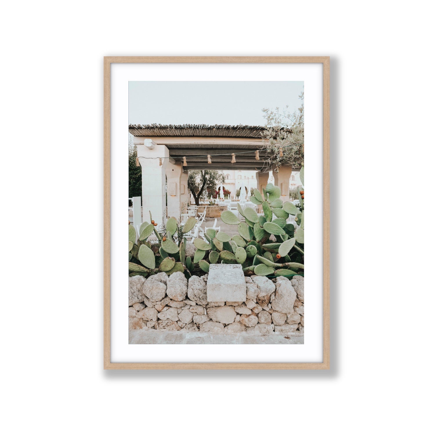 Puglia Flora Puglia Borgo Egnazia Mediterranean wall art Extra Large fine art print in natural oak frame with matboard