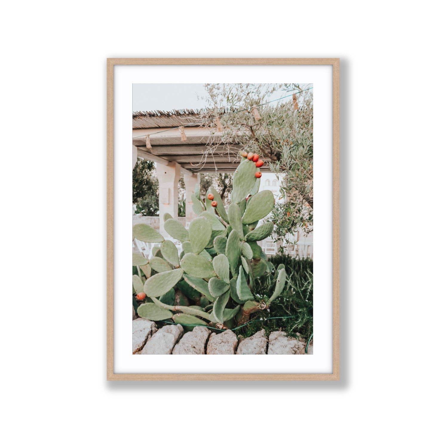 Opuntia Beauty Puglia wall art Extra Large fine art print in natural oak frame with matboard