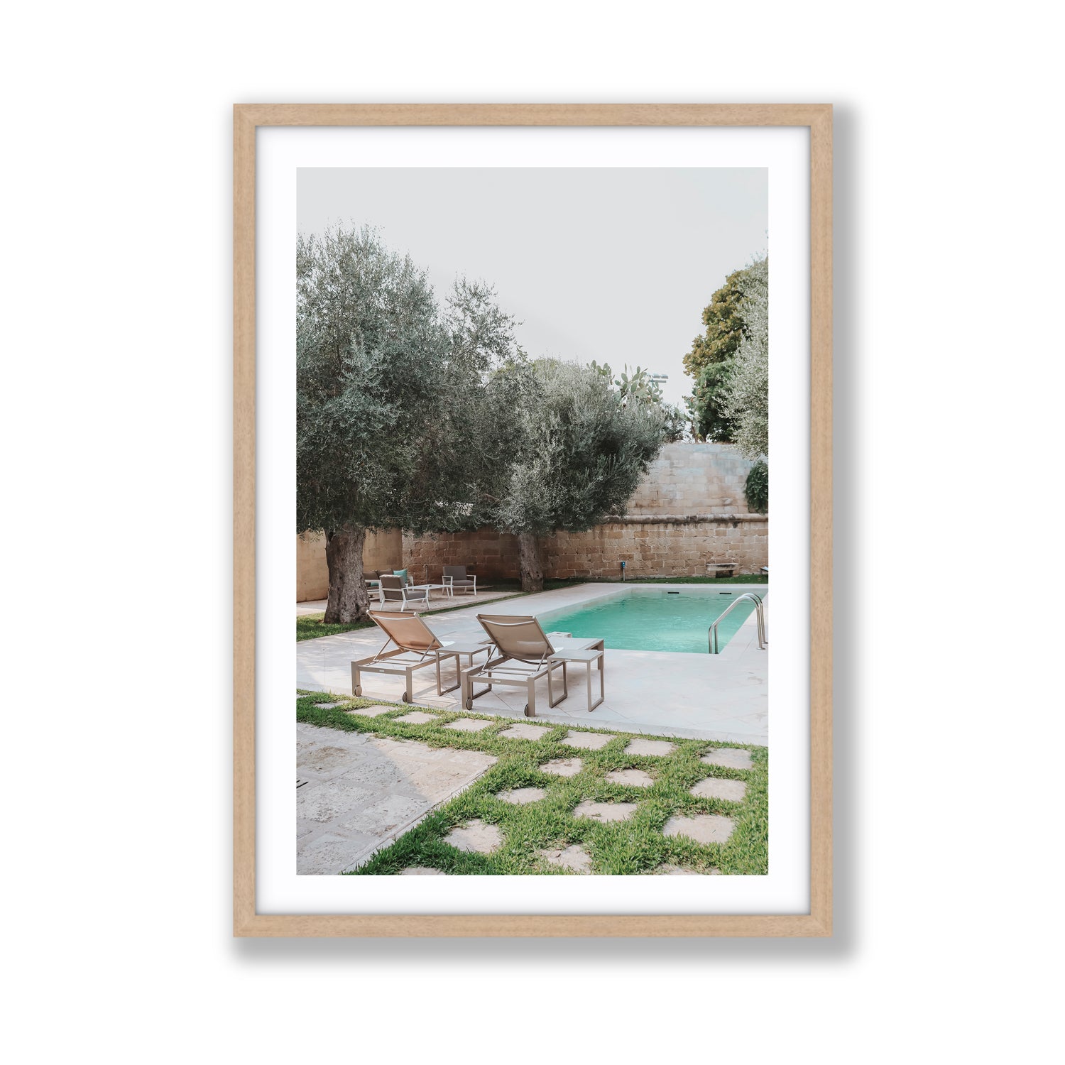 Olive Oasis