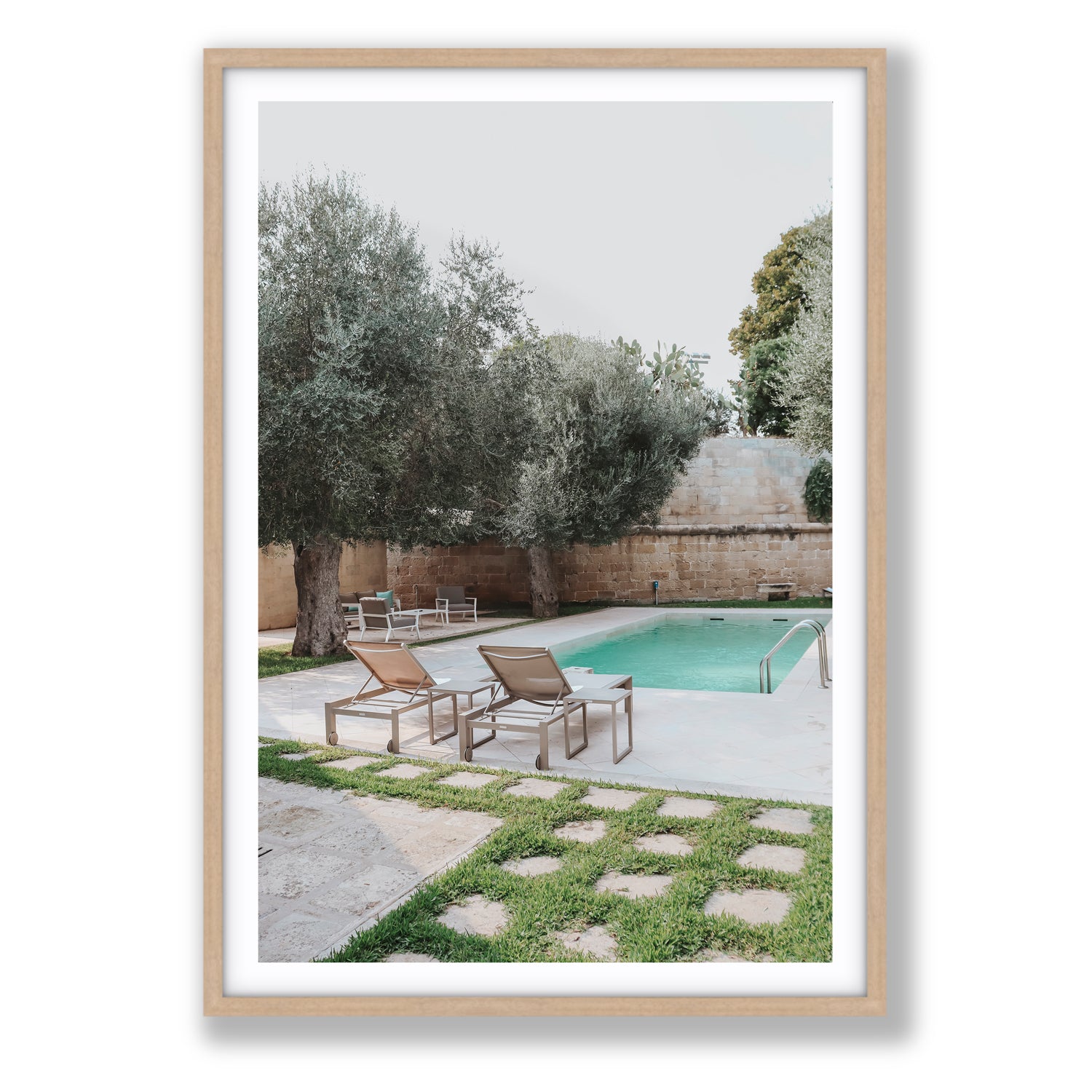 Olive Oasis