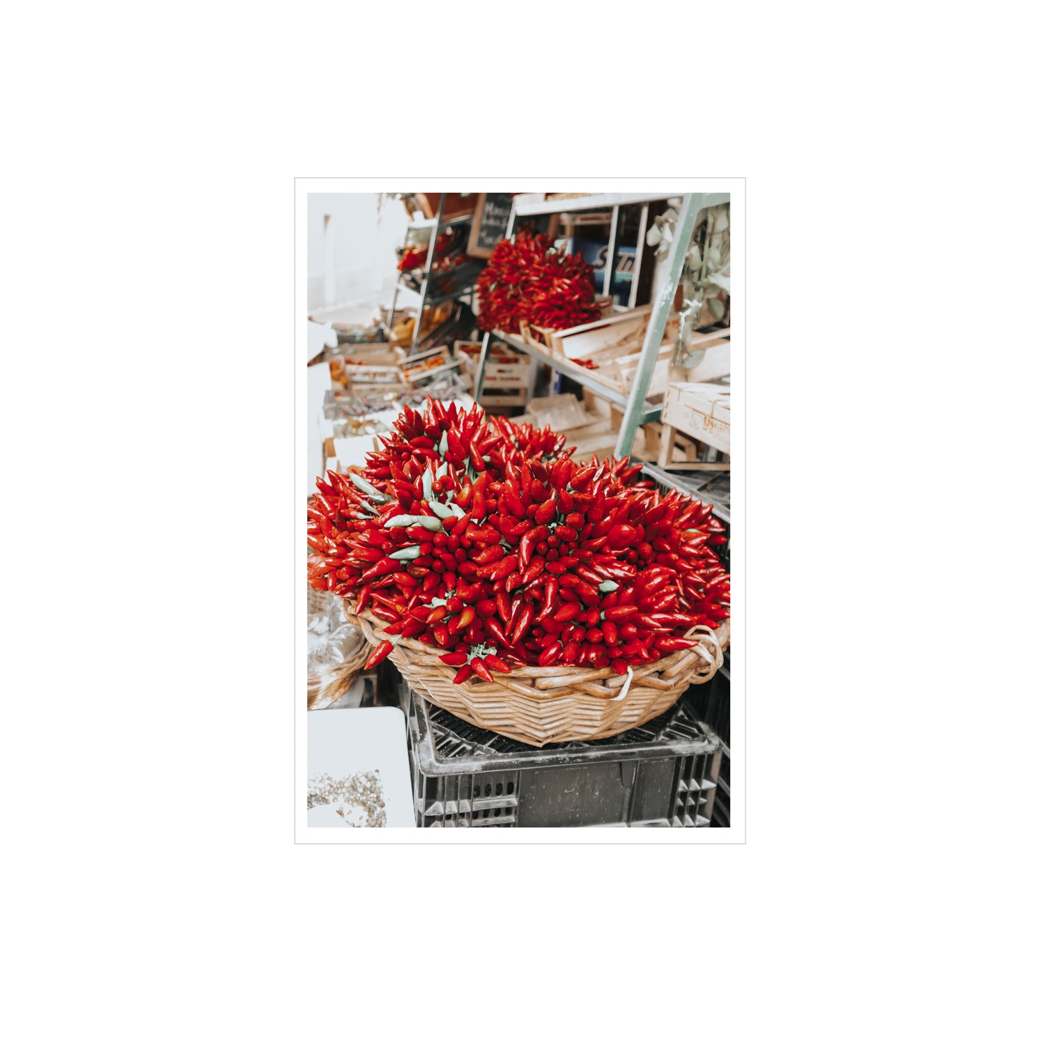 Spicy Bunch