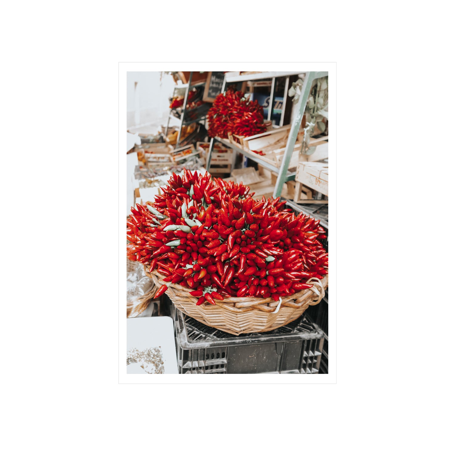 Spicy Bunch