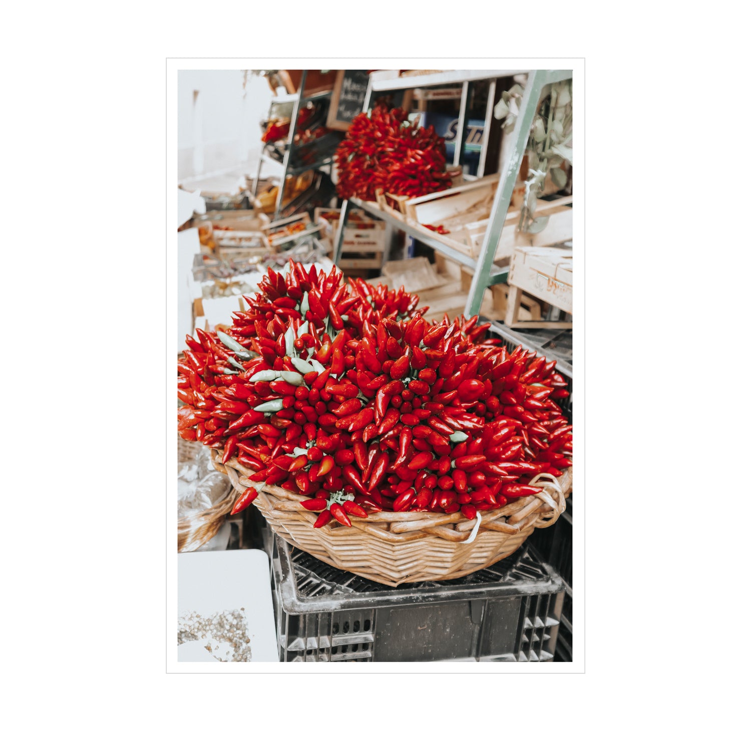 Spicy Bunch