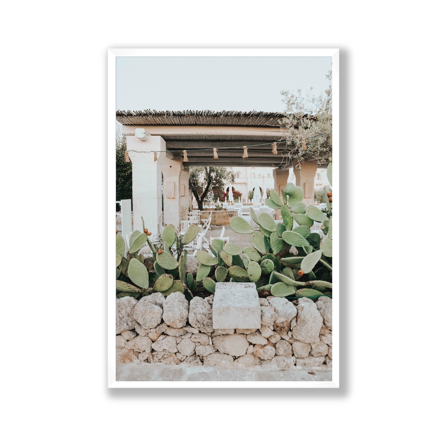Puglia Flora Puglia Borgo Egnazia Mediterranean wall art Gallery full-bleed fine art print in white frame