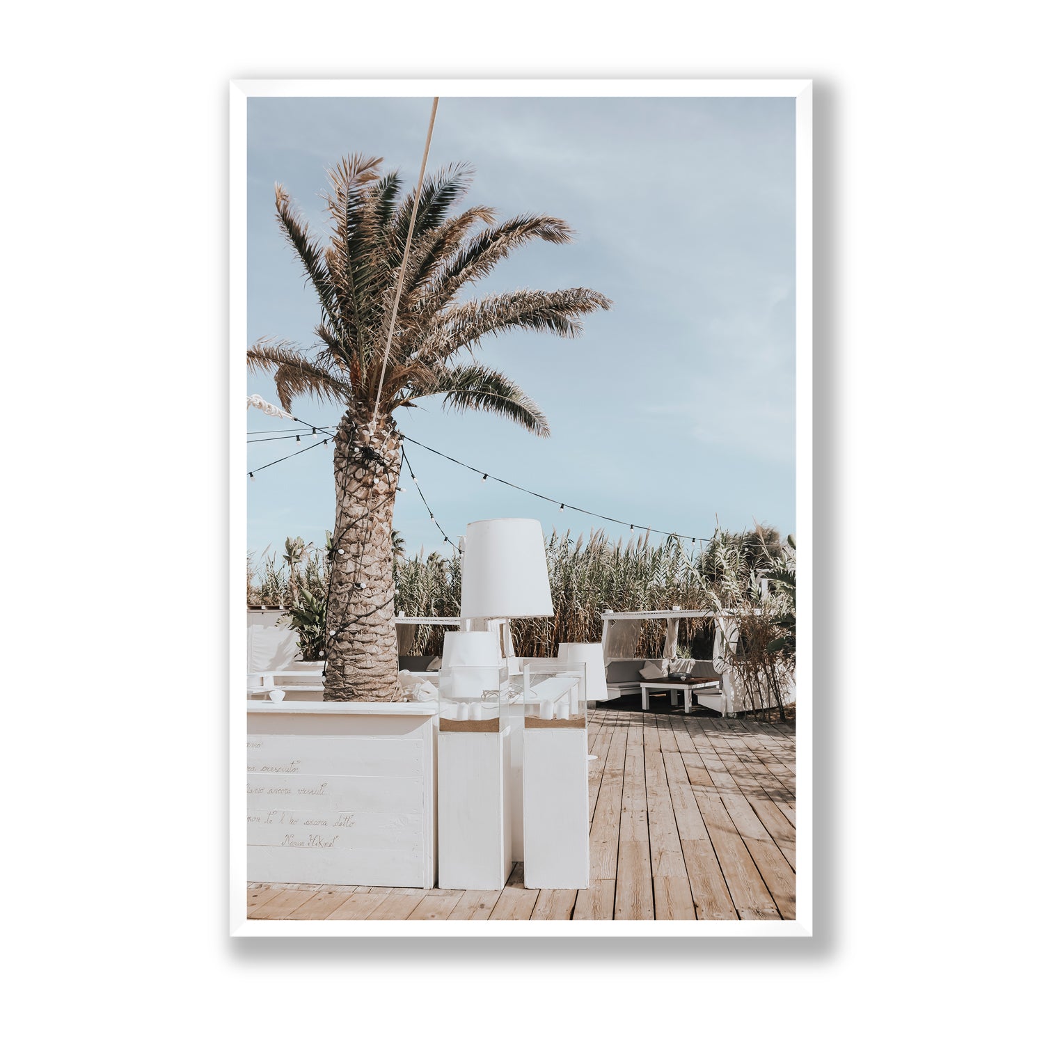 Seabreeze Palm