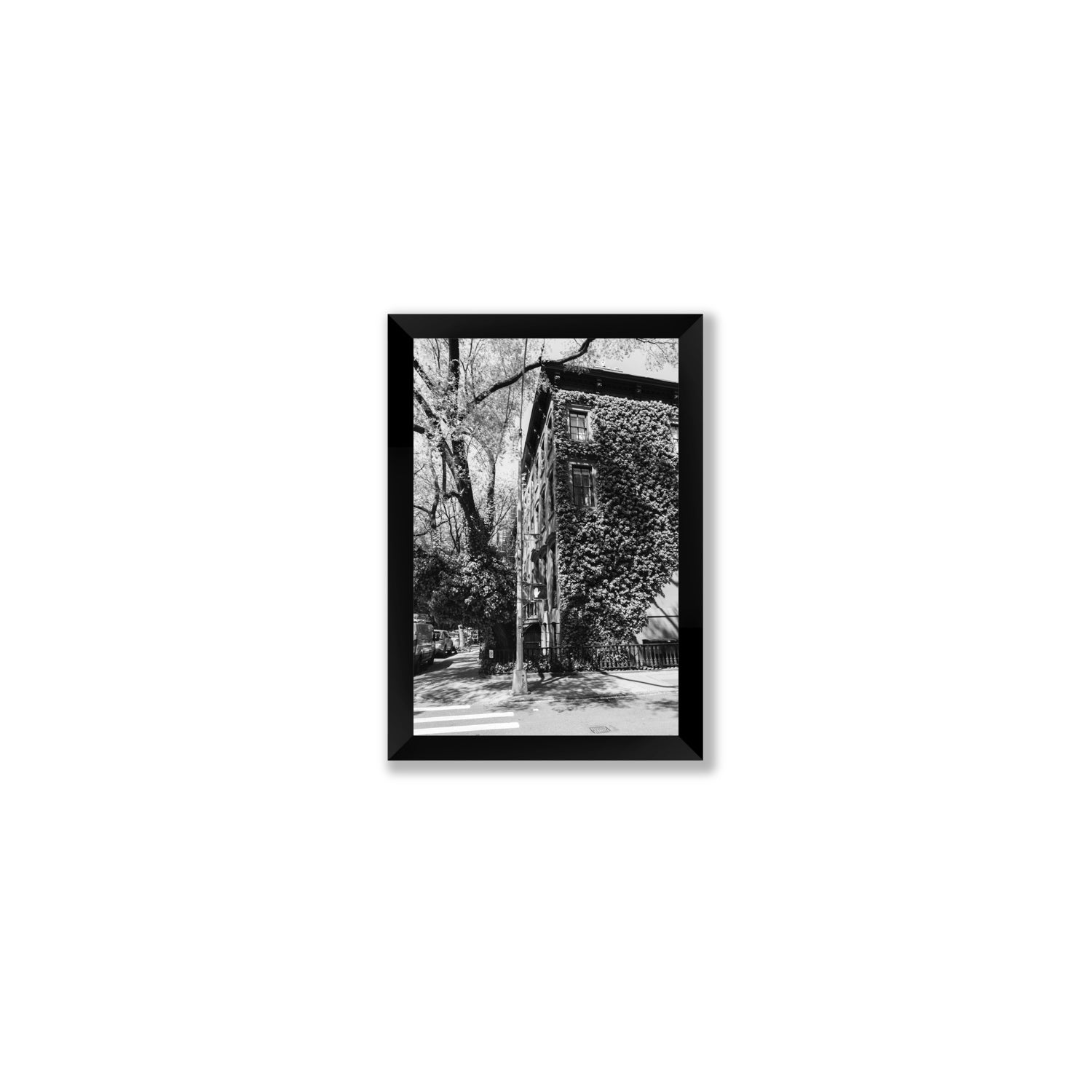 Vertical Garden New York NYC Black & White wall art Small full-bleed fine art print in black frame