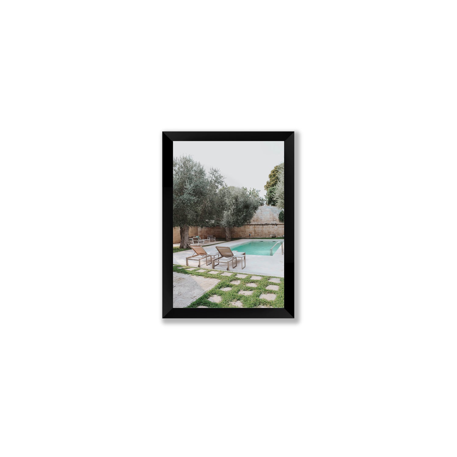 Olive Oasis