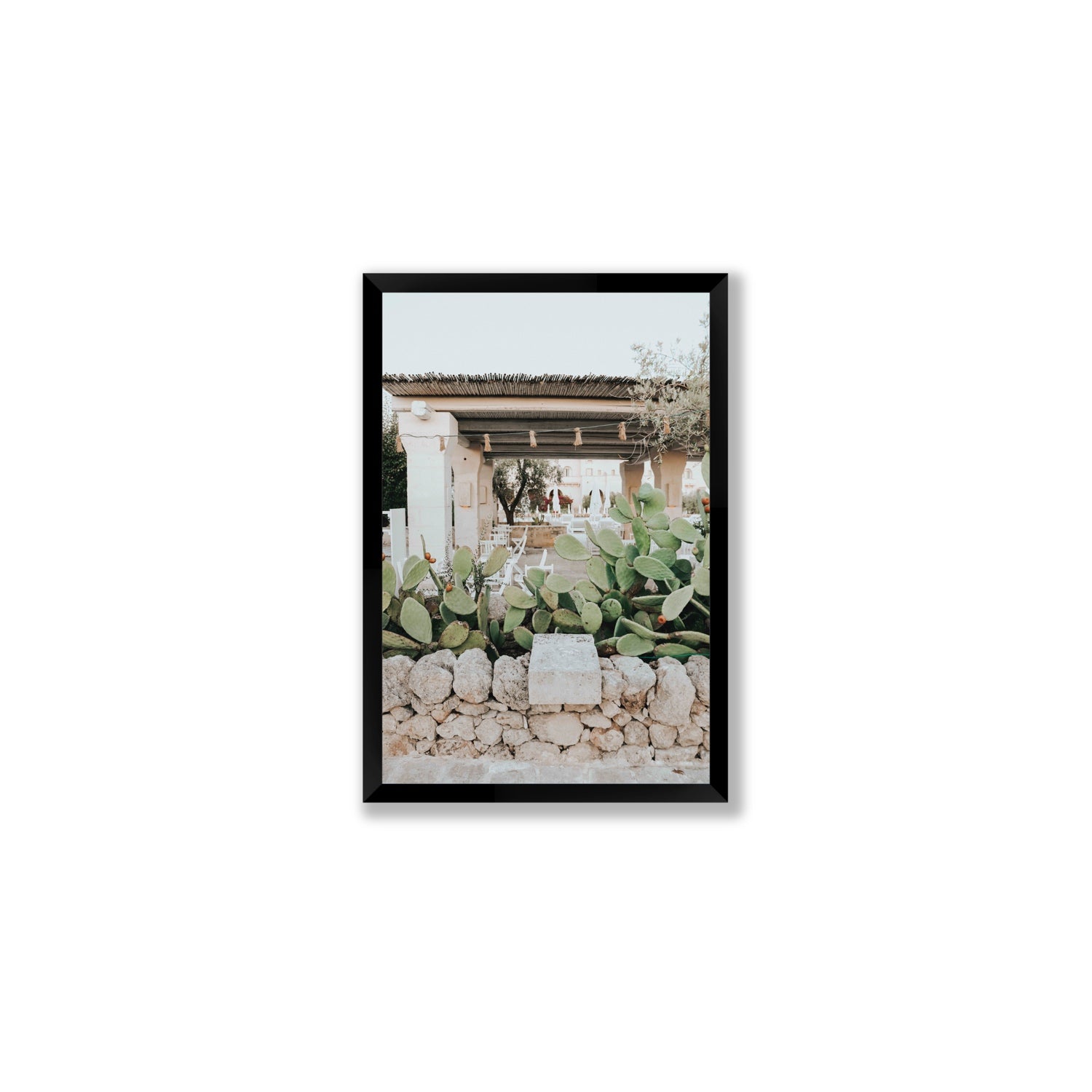 Puglia Flora Puglia Borgo Egnazia Mediterranean wall art Medium full-bleed fine art print in black frame