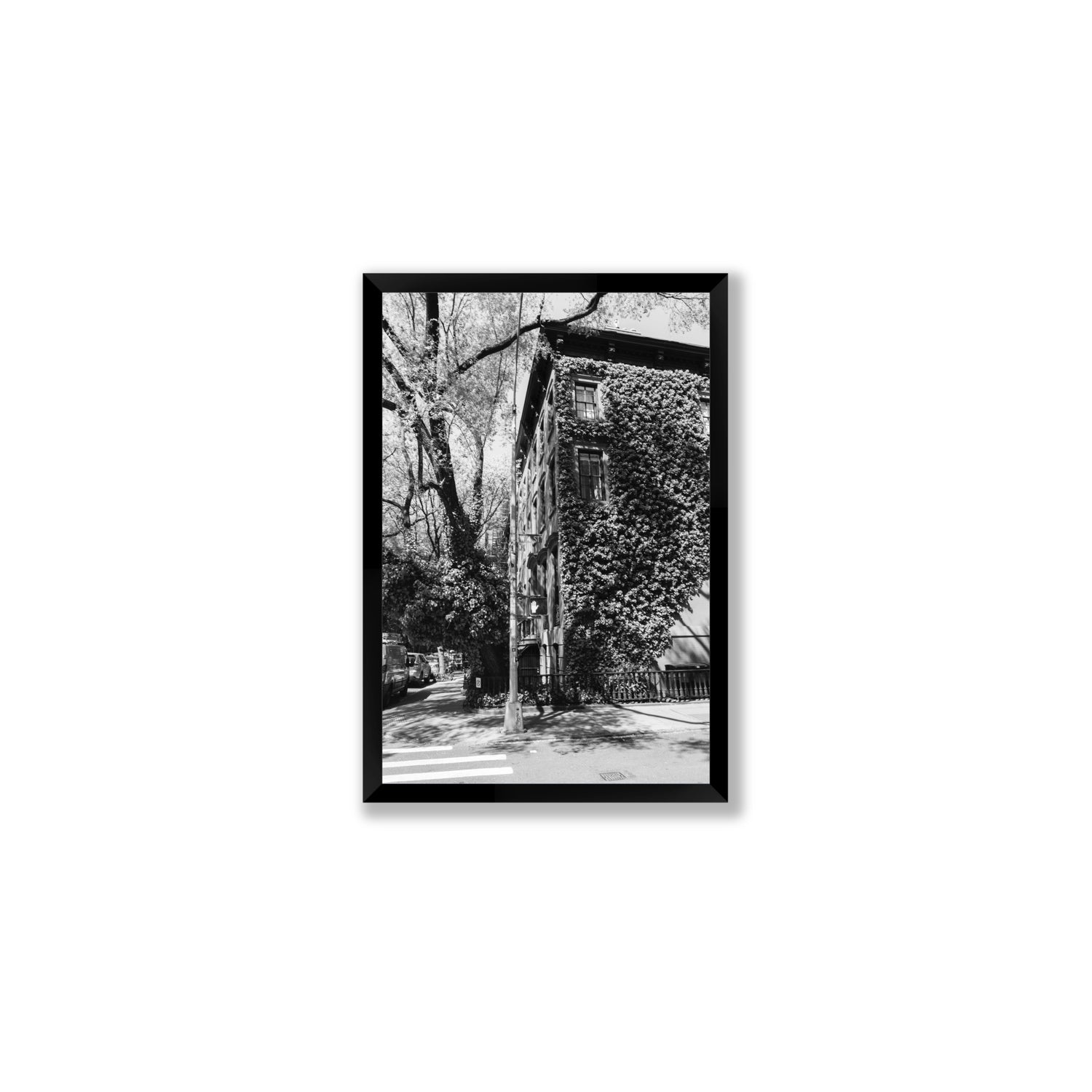 Vertical Garden New York NYC Black & White wall art Medium full-bleed fine art print in black frame