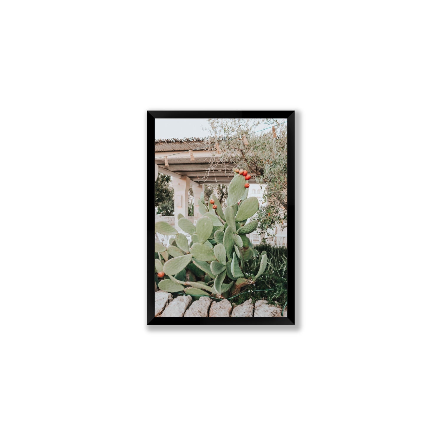 Opuntia Beauty Puglia wall art Medium full-bleed fine art print in black frame