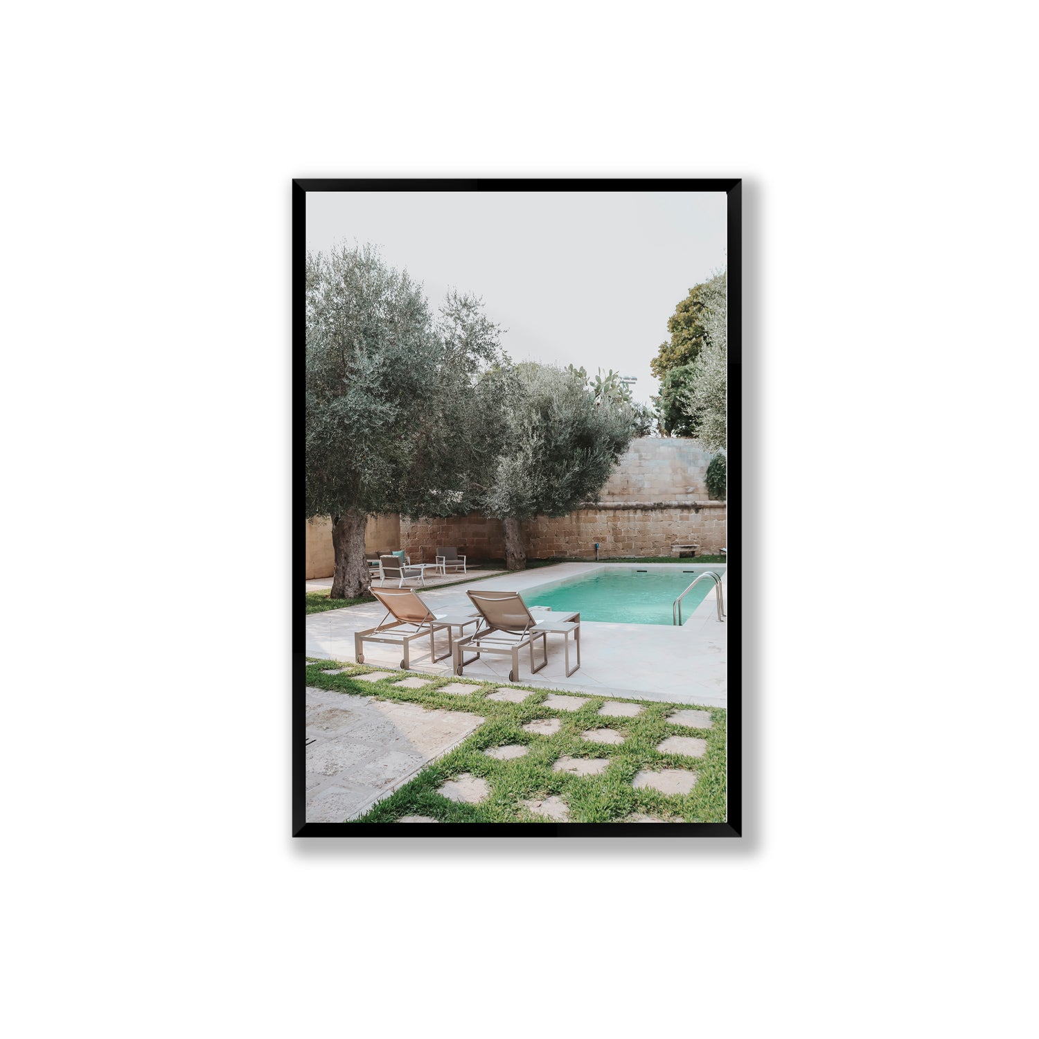 Olive Oasis
