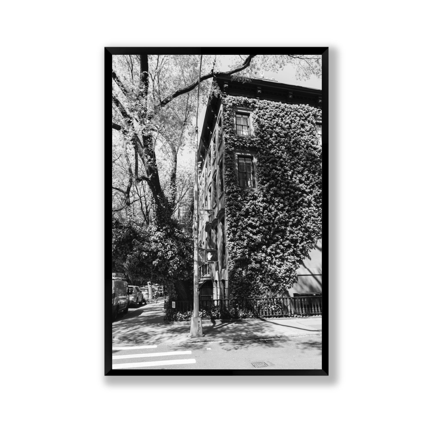 Vertical Garden New York NYC Black & White wall art Gallery full-bleed fine art print in black frame