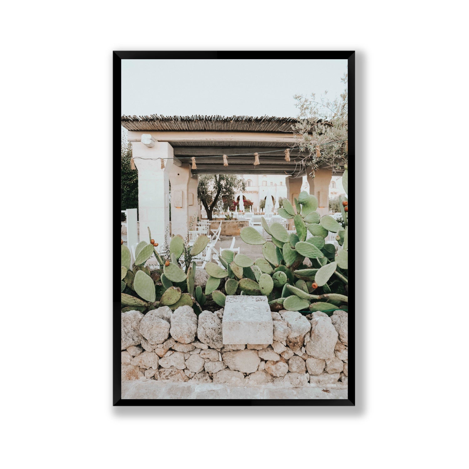 Puglia Flora Puglia Borgo Egnazia Mediterranean wall art Gallery full-bleed fine art print in black frame
