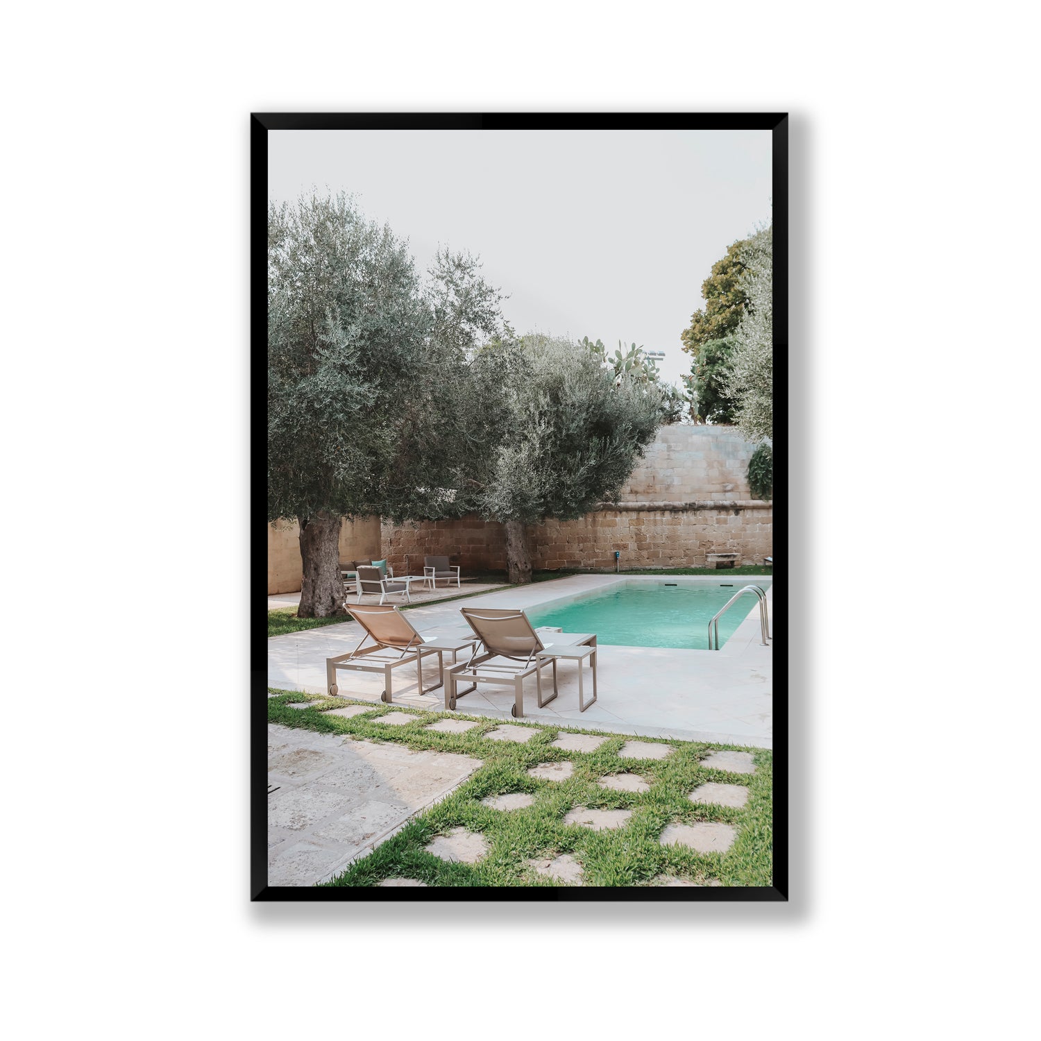 Olive Oasis