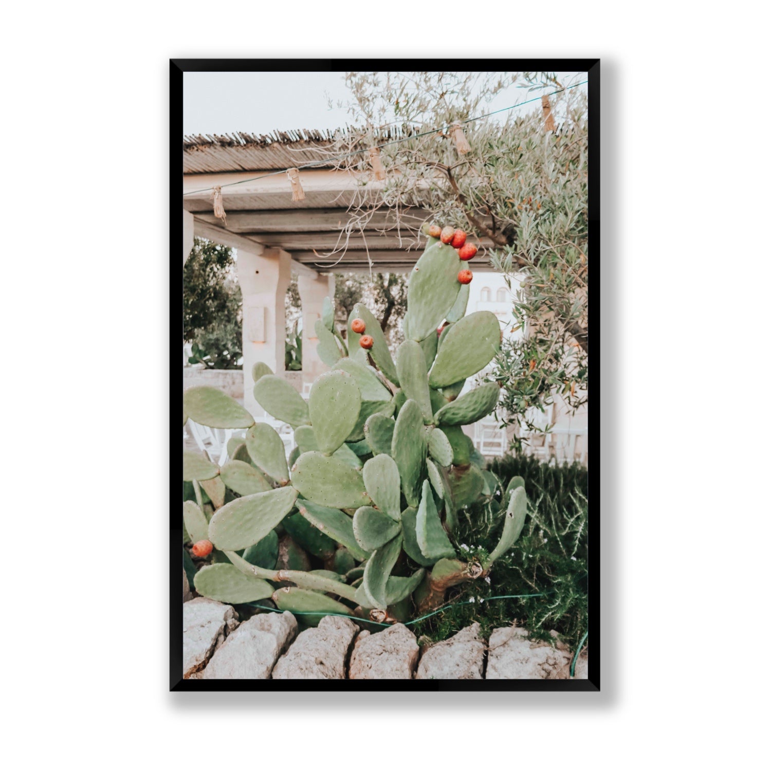 Opuntia Beauty Puglia wall art Statement full-bleed fine art print in black frame