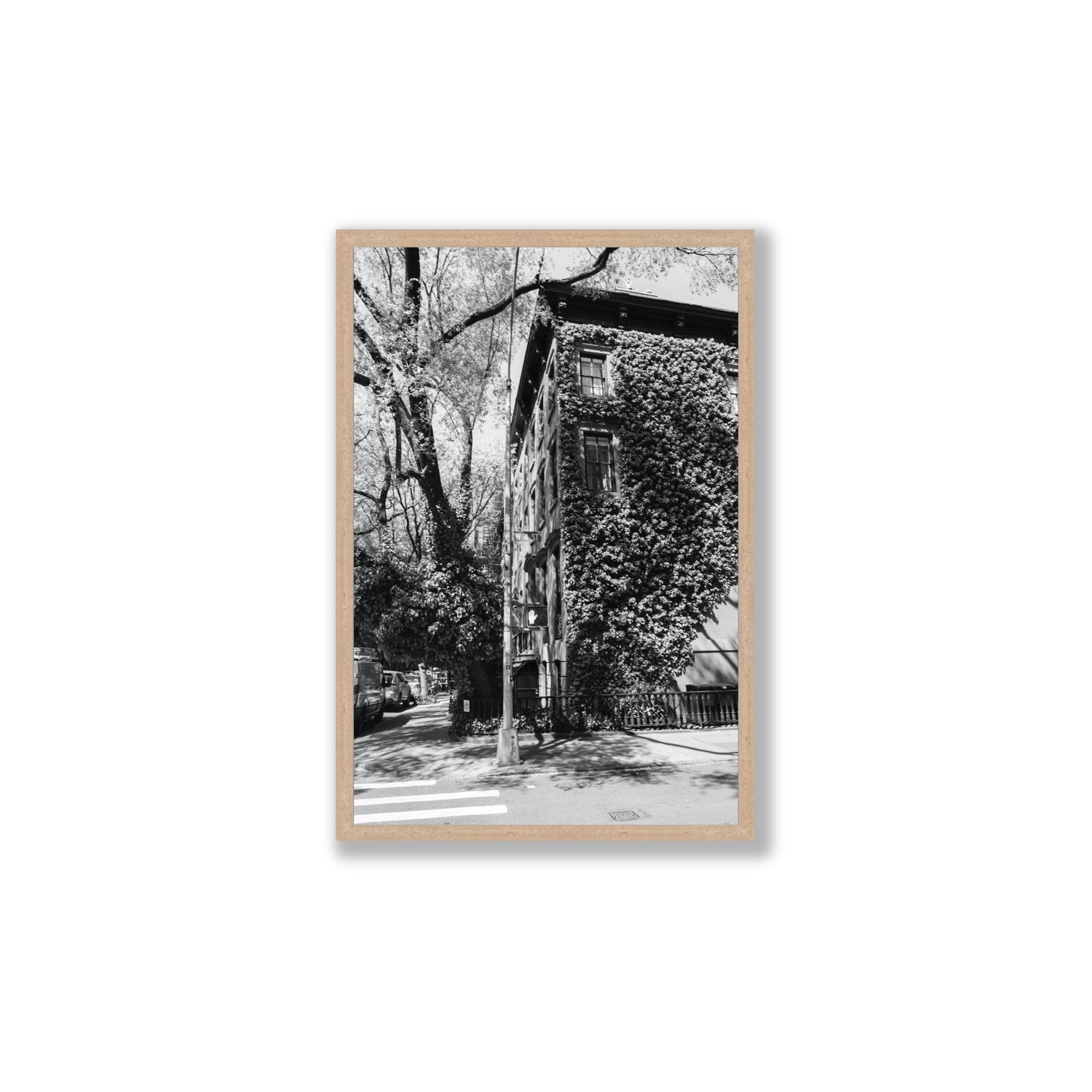 Vertical Garden New York NYC Black & White wall art Large full-bleed fine art print in natural oak frame