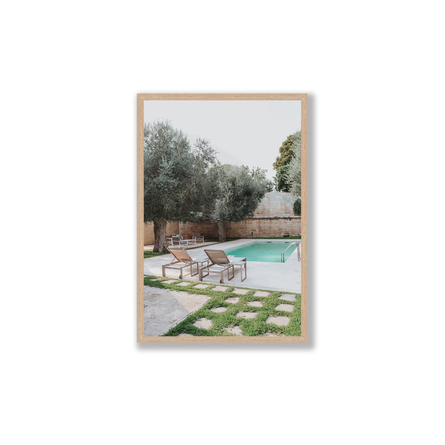 Olive Oasis