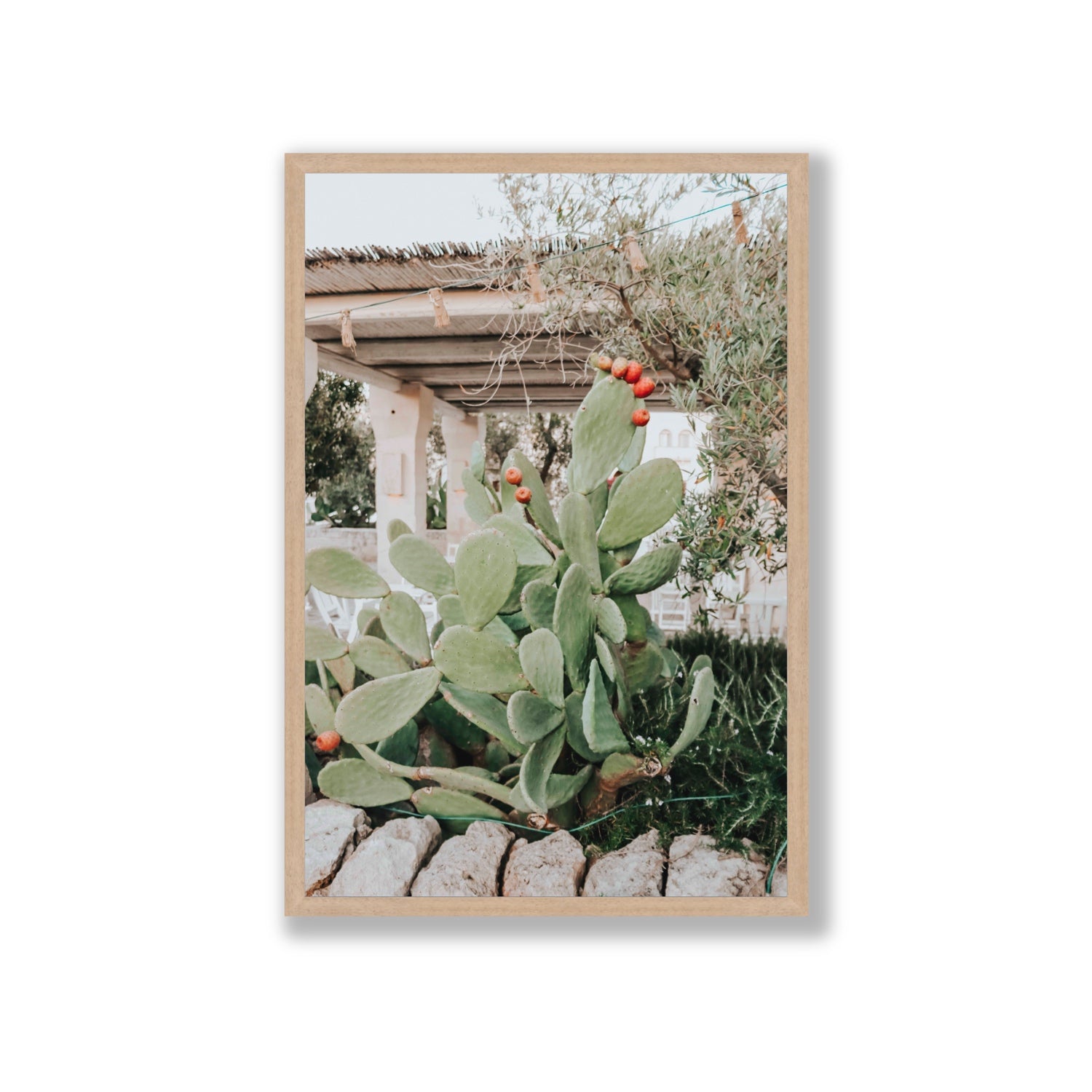 Opuntia Beauty Puglia wall art Giant full-bleed fine art print in natural oak frame