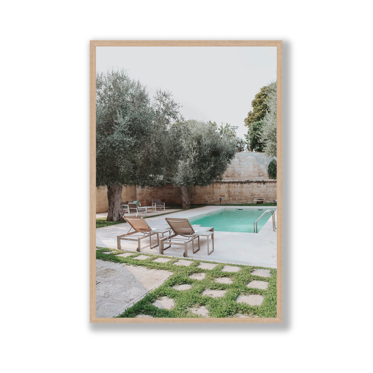Olive Oasis
