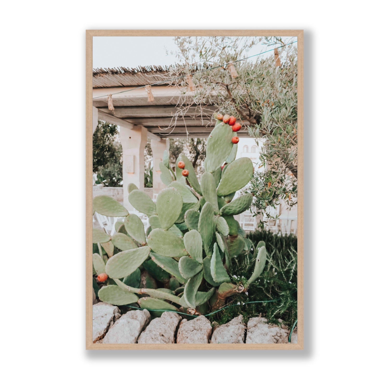 Opuntia Beauty Puglia wall art Statement full-bleed fine art print in natural oak frame