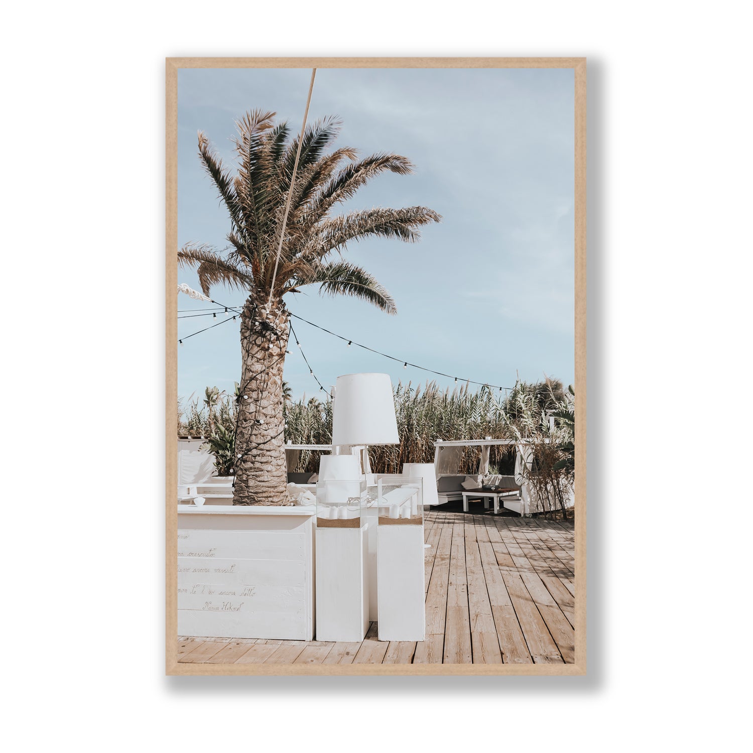 Seabreeze Palm