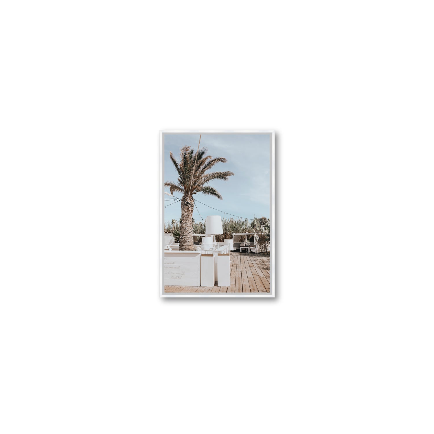 Seabreeze Palm
