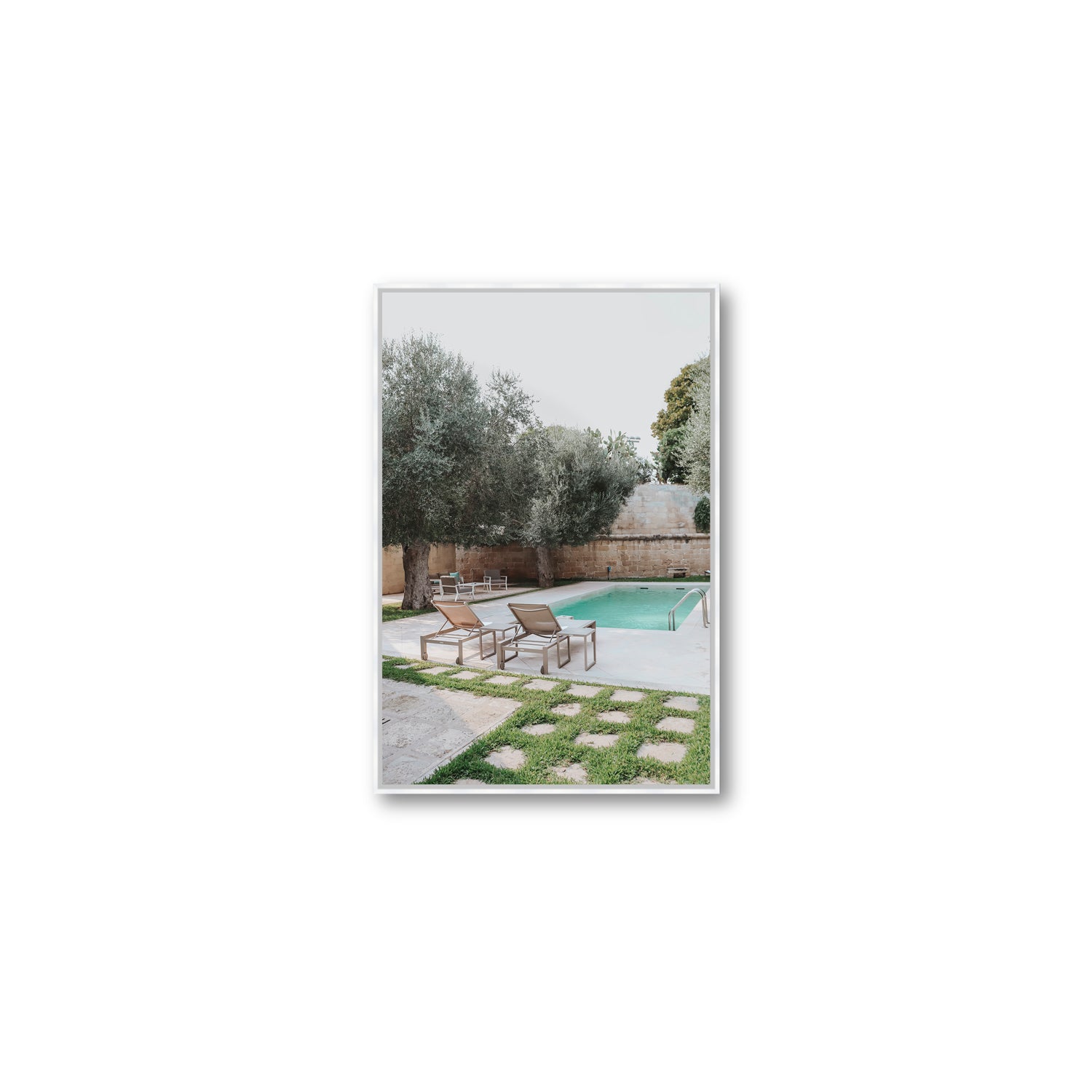 Olive Oasis