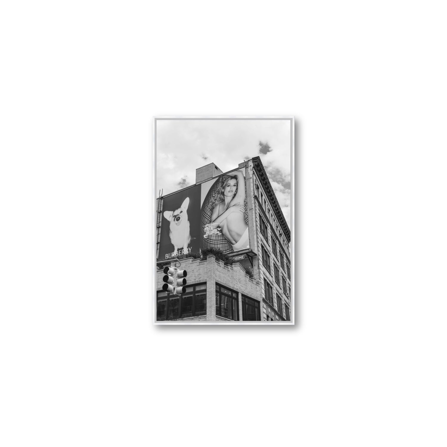Dynamic Duo fine art print, New York, United States, Medium, White Float Frame, Fine Art Canvas