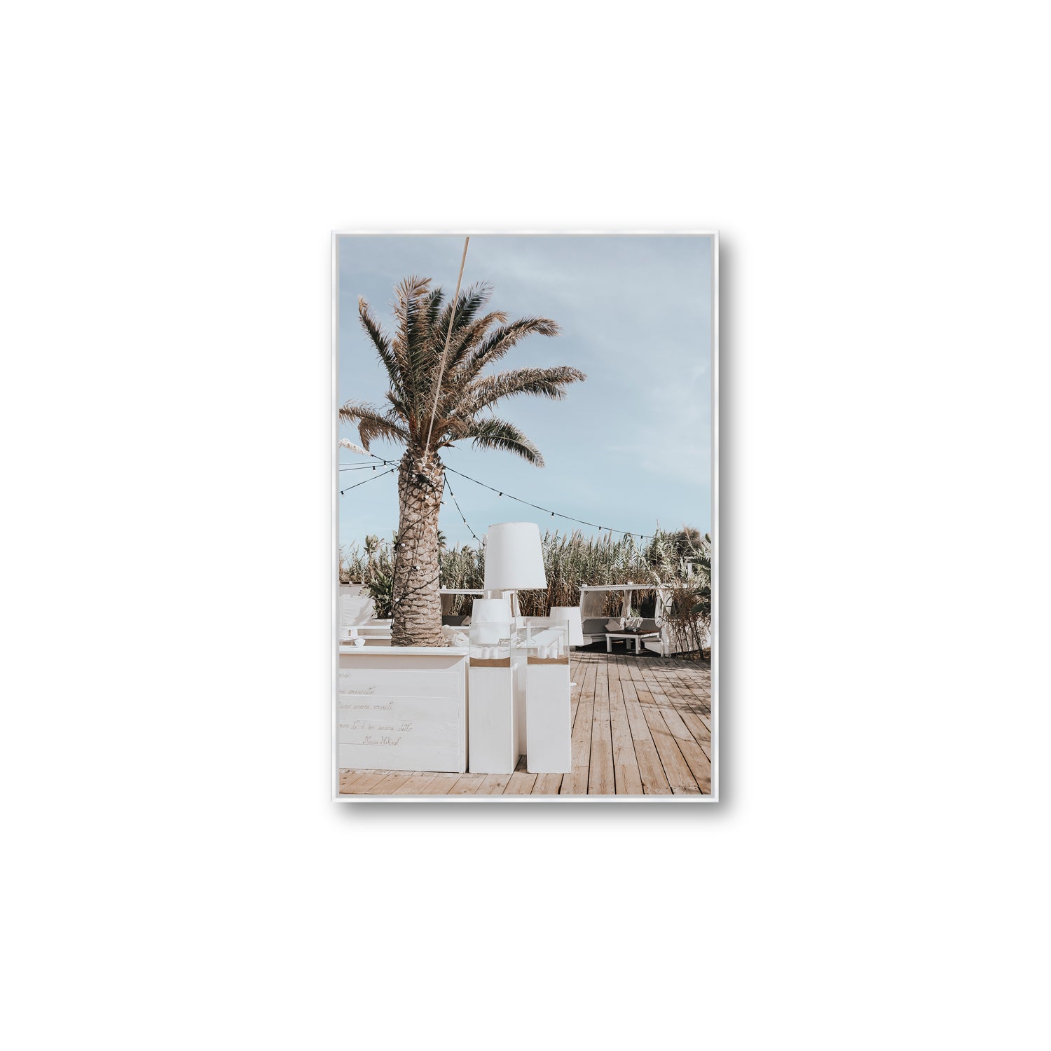 Seabreeze Palm